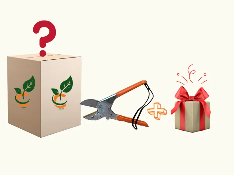 about product