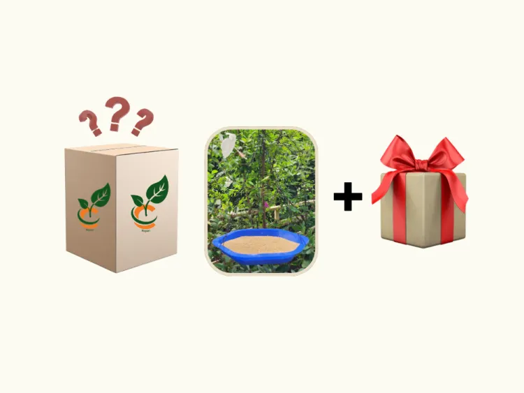 about product