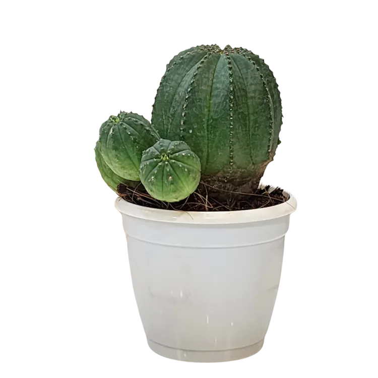 about product