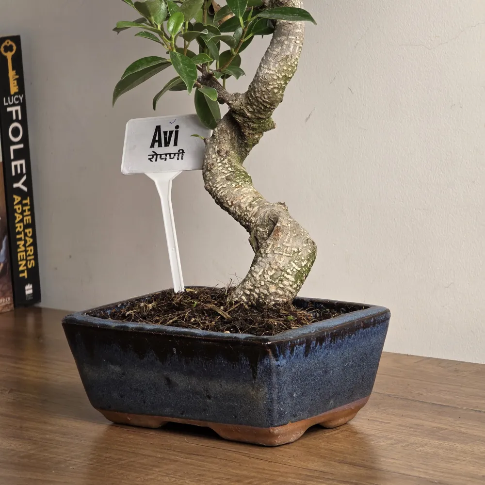 product-gallery