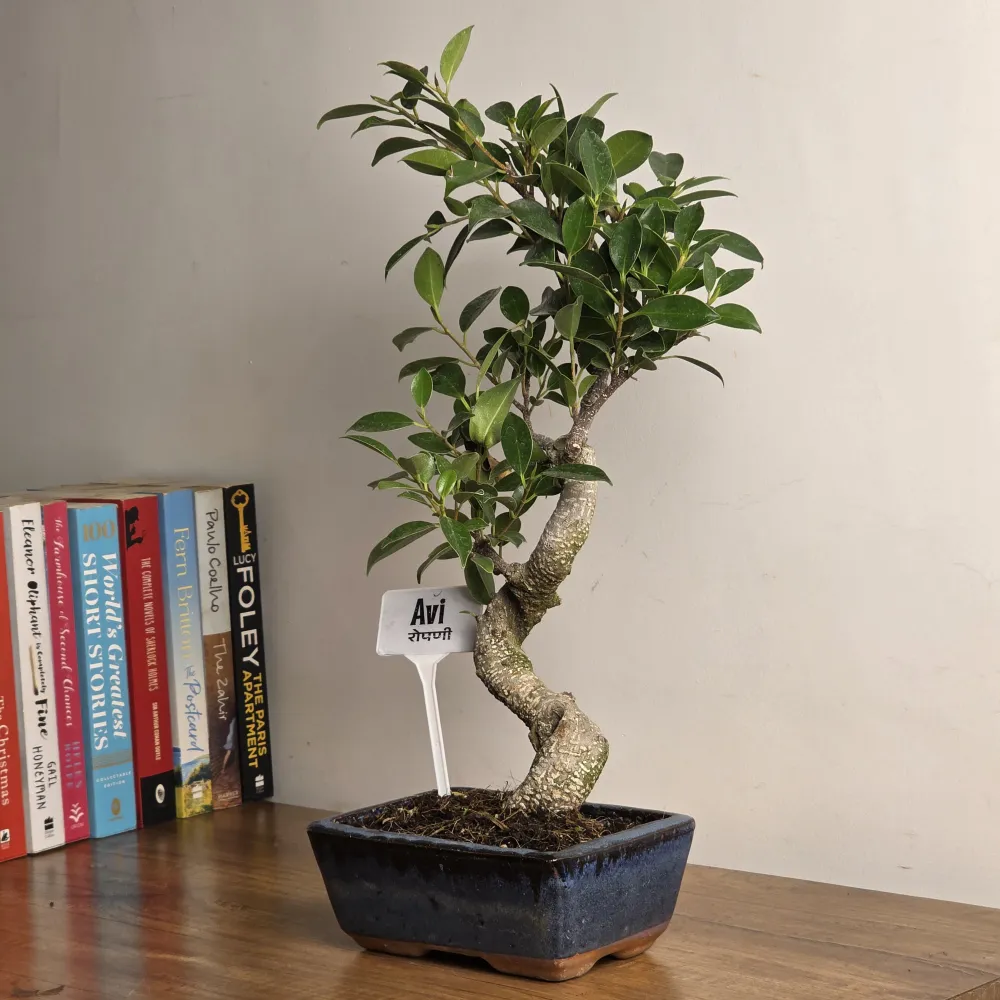 product-gallery