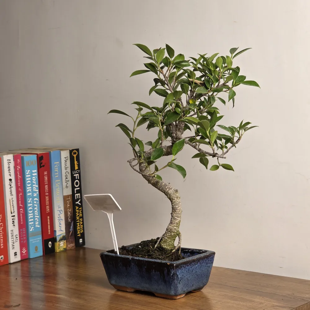 product-gallery