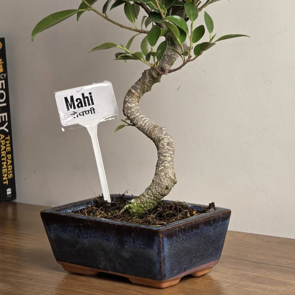 product-gallery