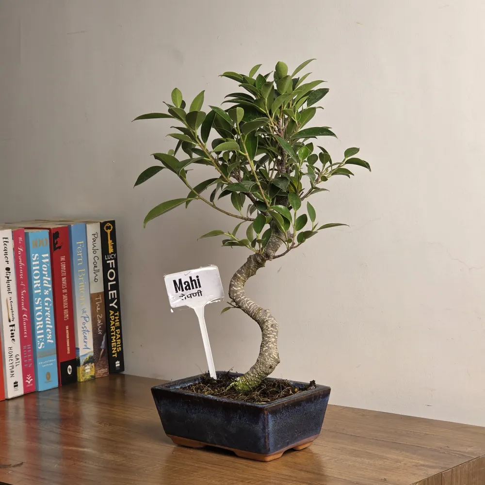 product-gallery