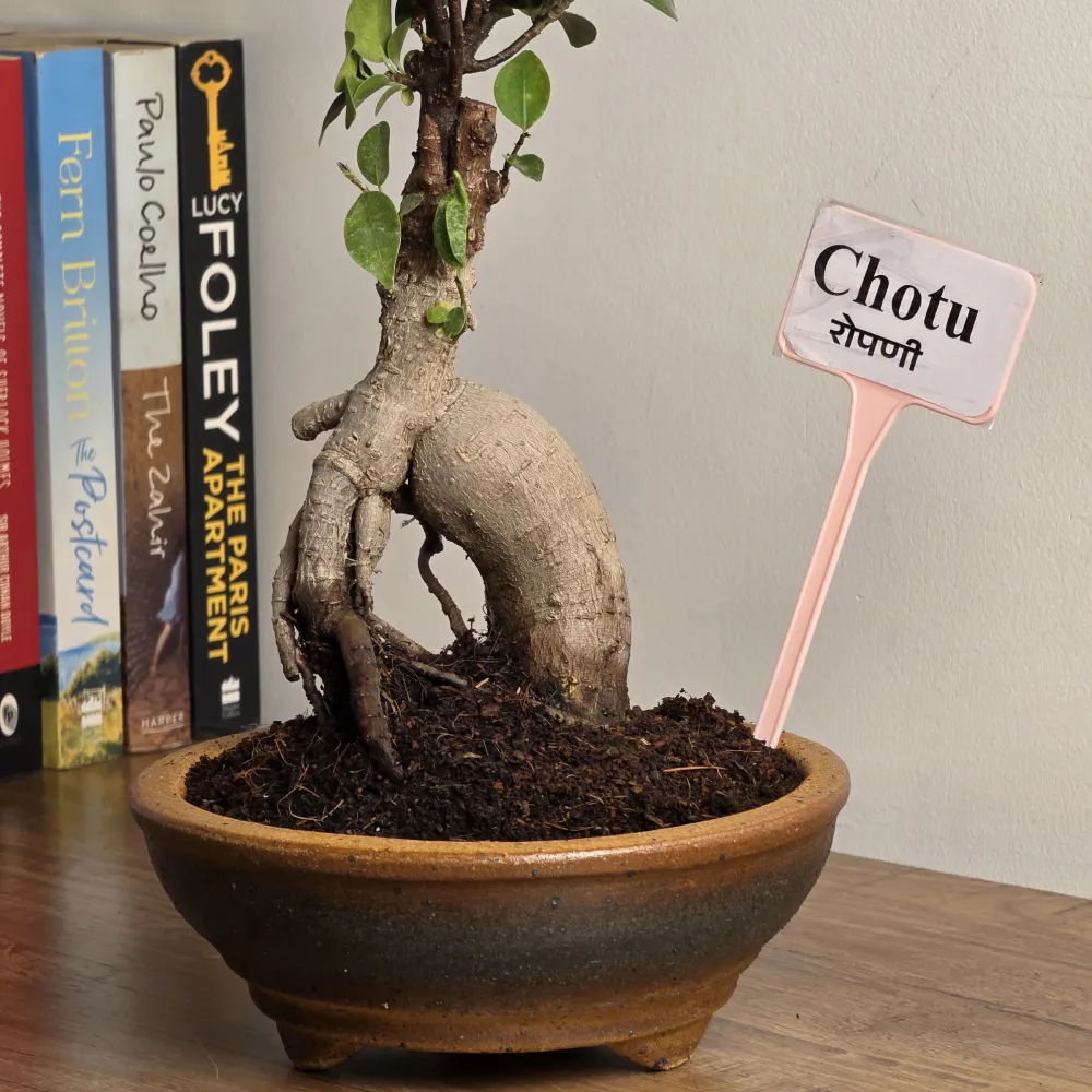 product-gallery