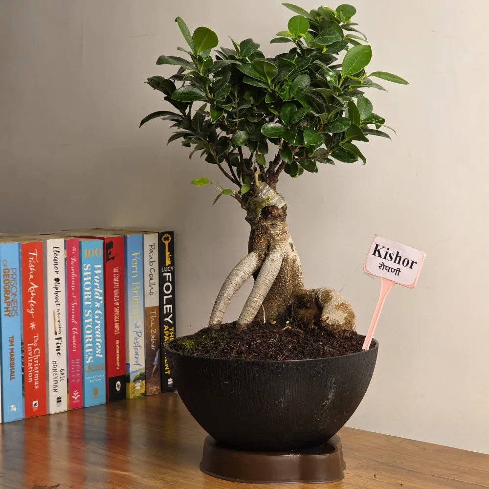 product-gallery