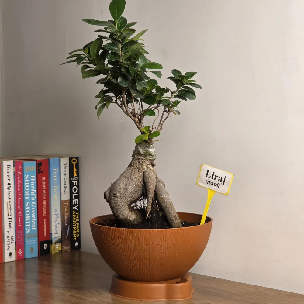 product-gallery