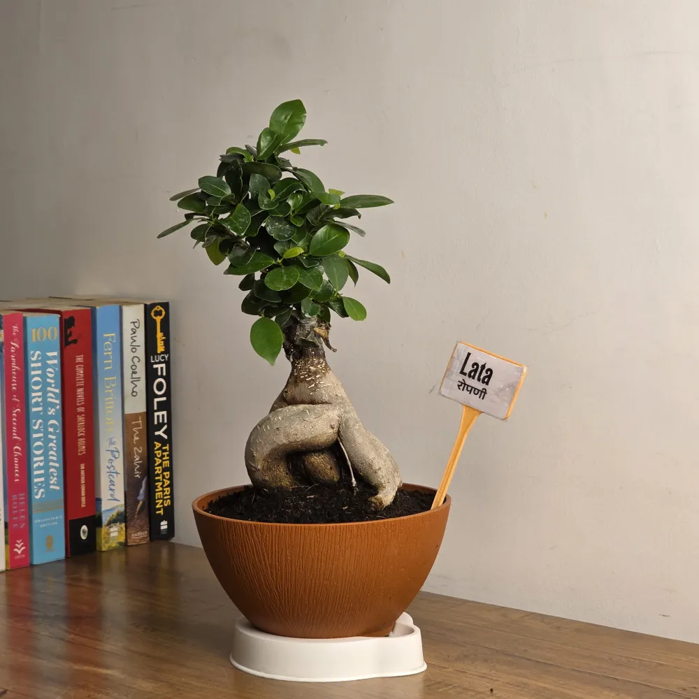 product-gallery