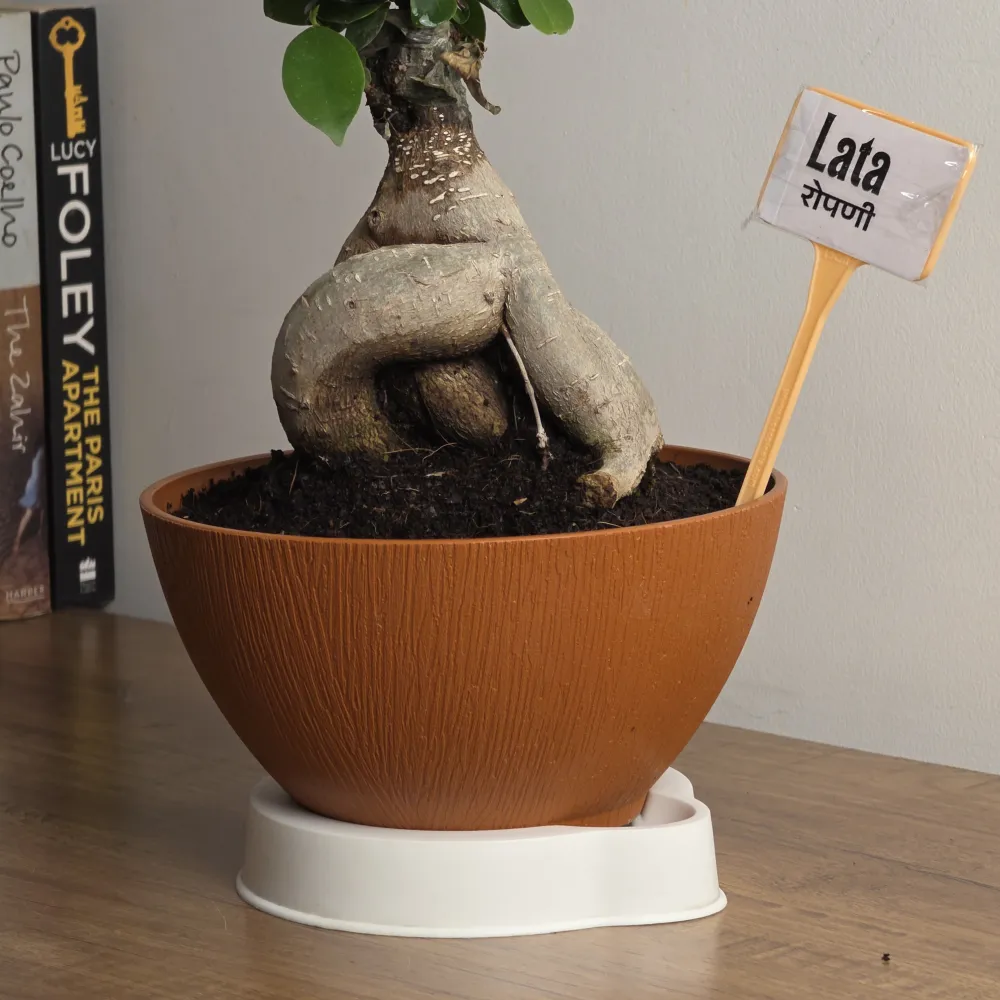 product-gallery