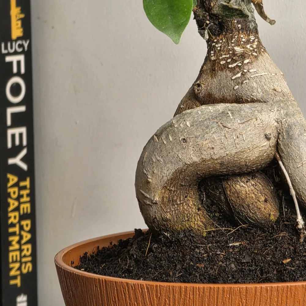 product-gallery