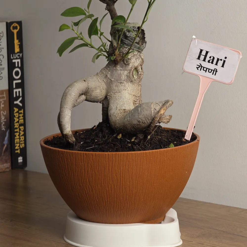 product-gallery