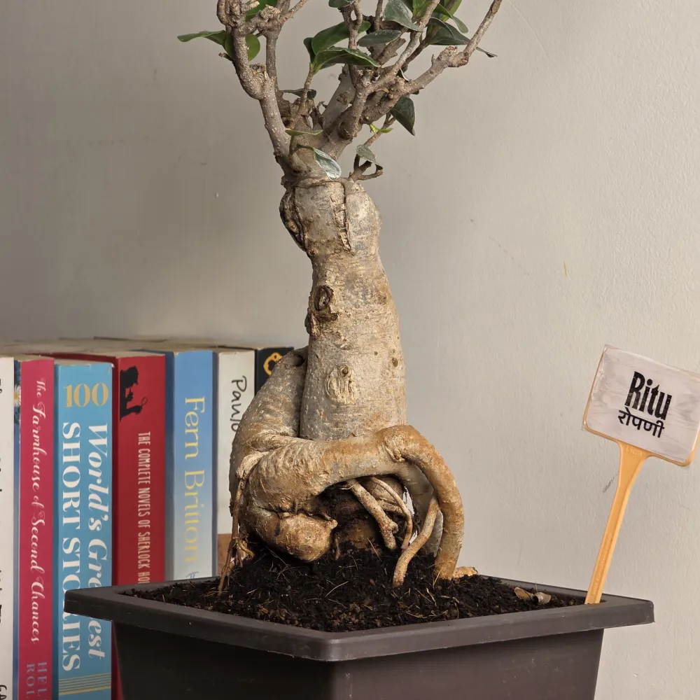 product-gallery