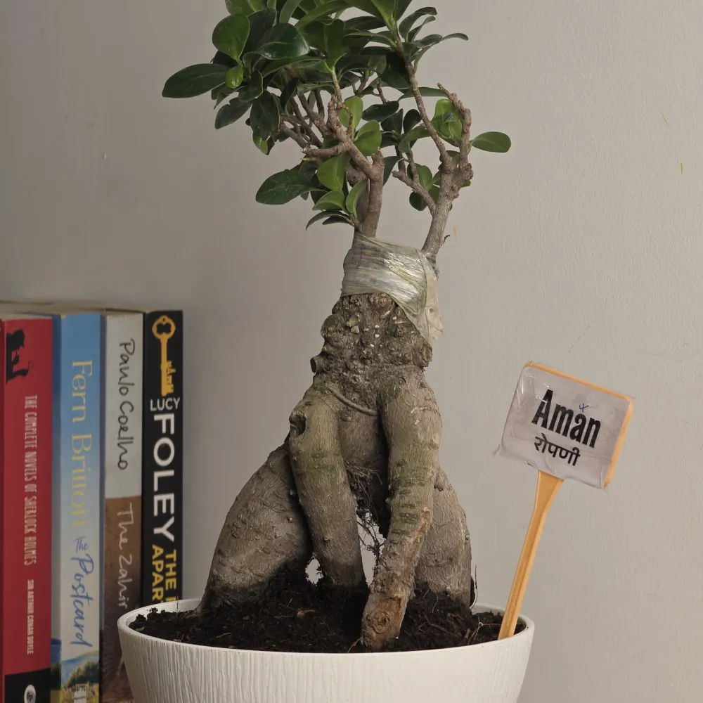 product-gallery