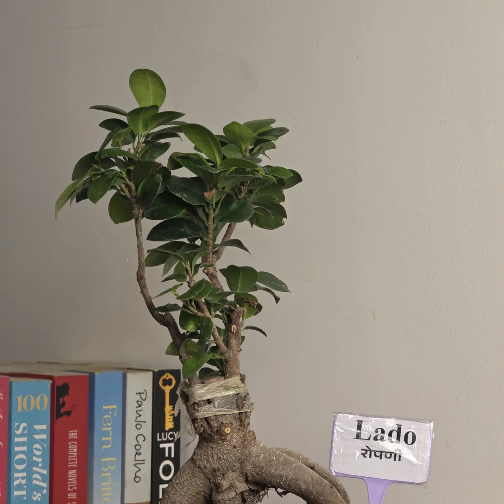 product-gallery