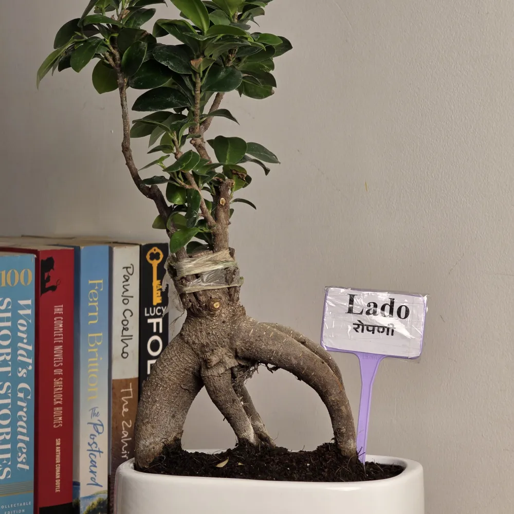 product-gallery