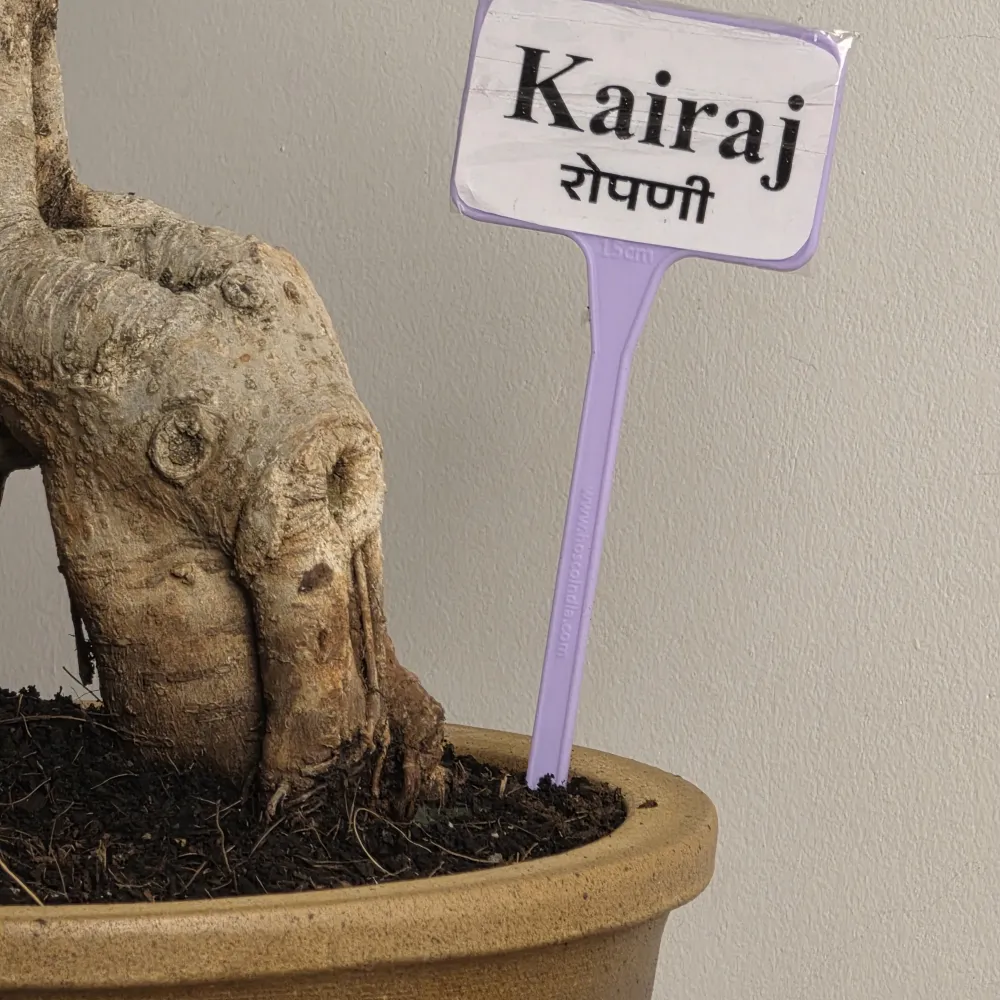 product-gallery