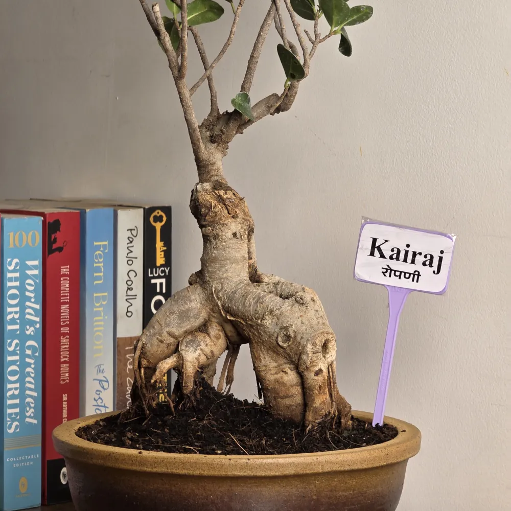 product-gallery