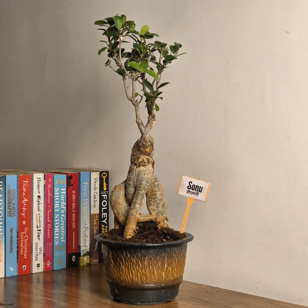 product-gallery