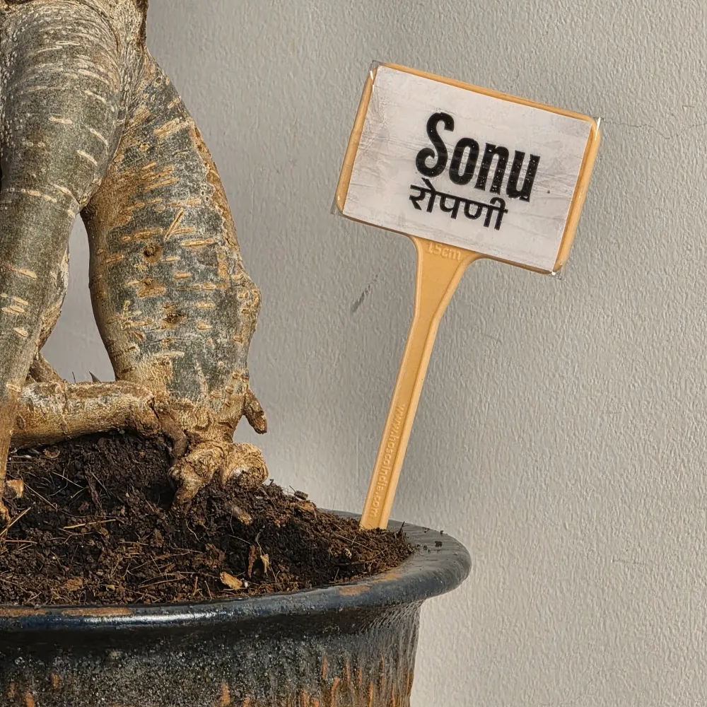 product-gallery
