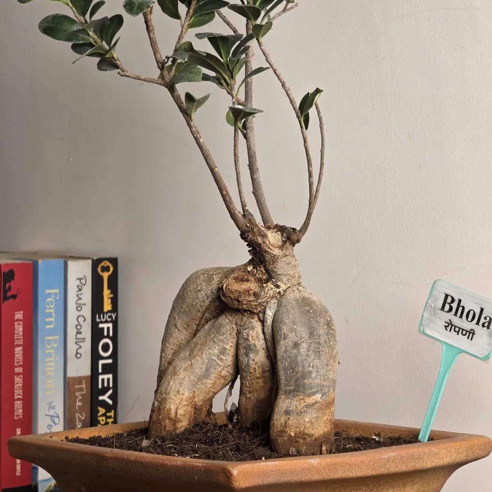 product-gallery