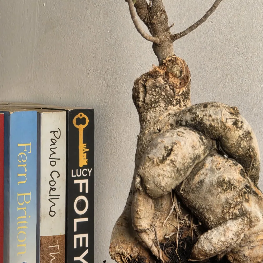 product-gallery