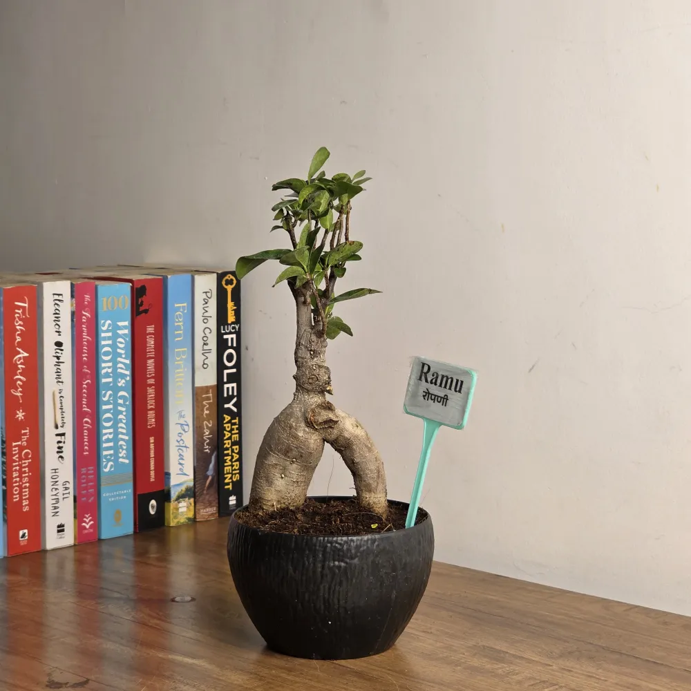 product-gallery