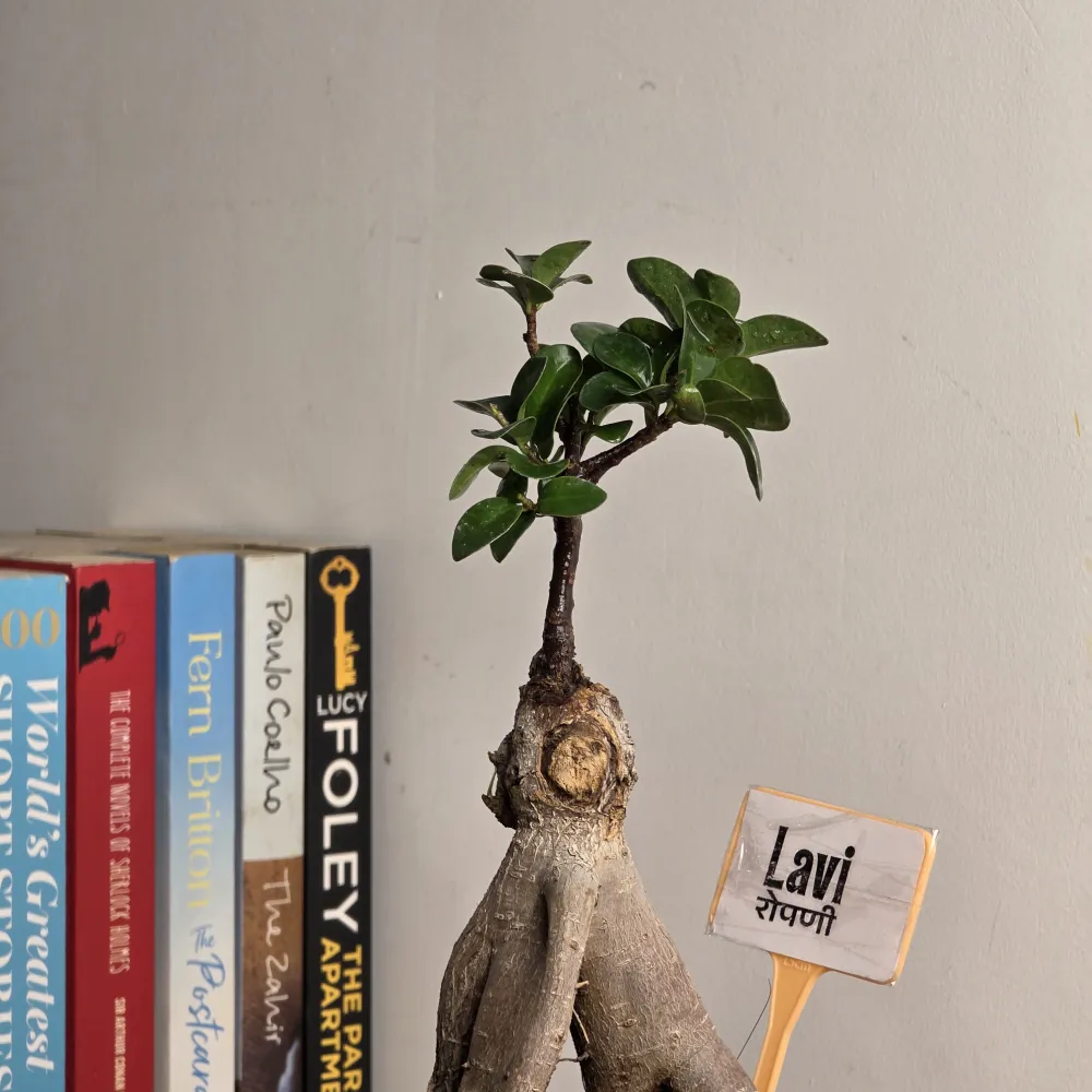 product-gallery