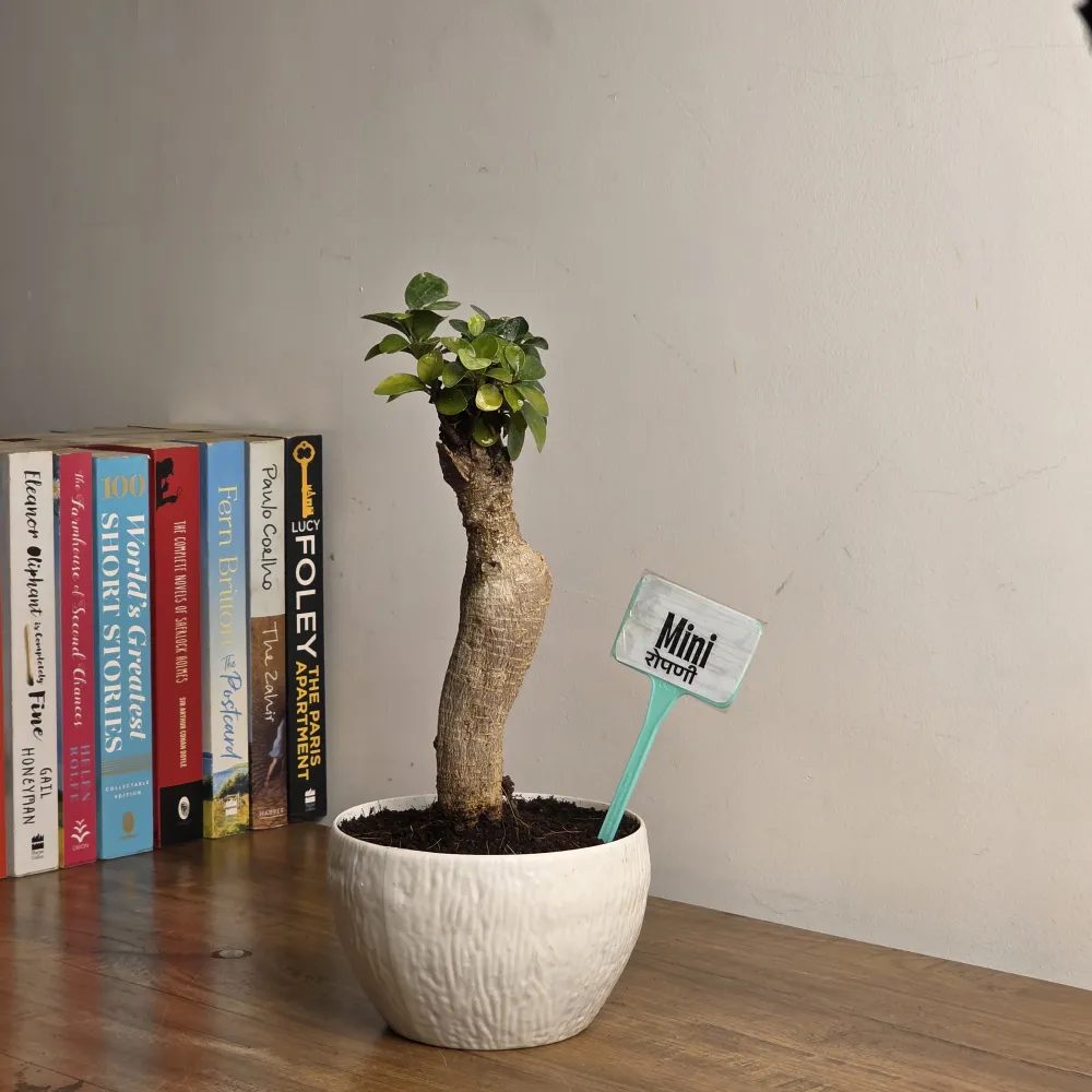 product-gallery