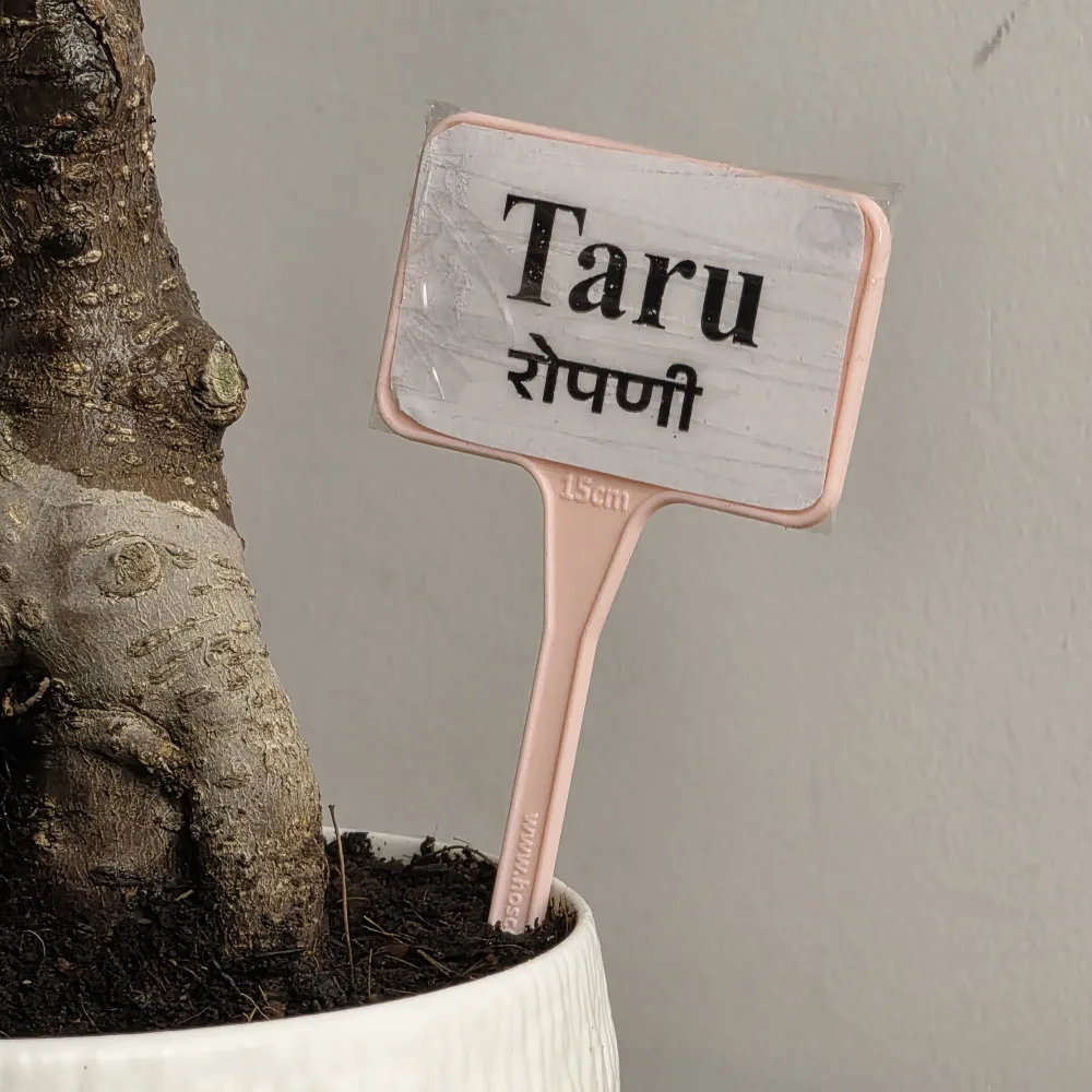 product-gallery