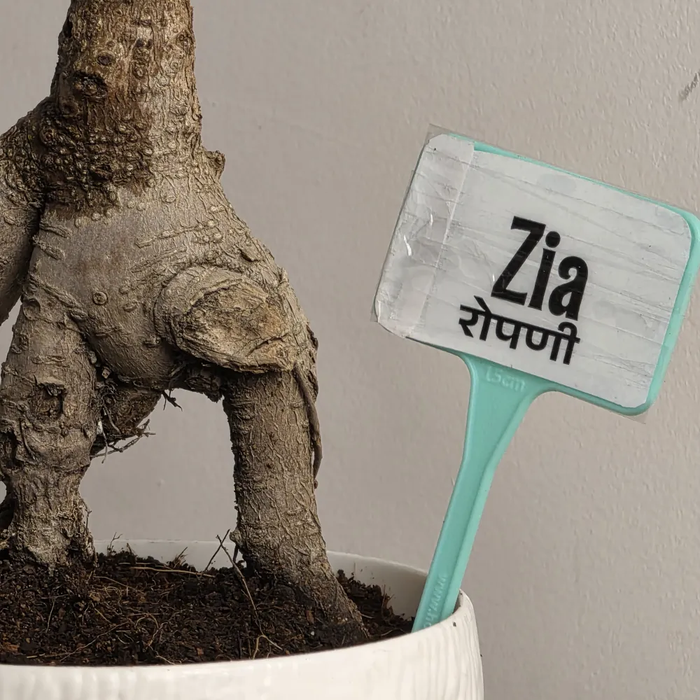 product-gallery