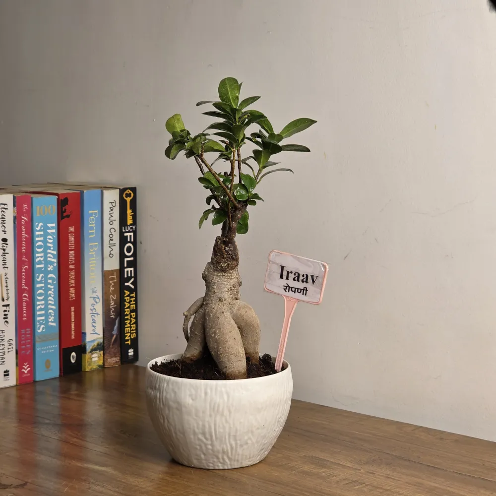 product-gallery