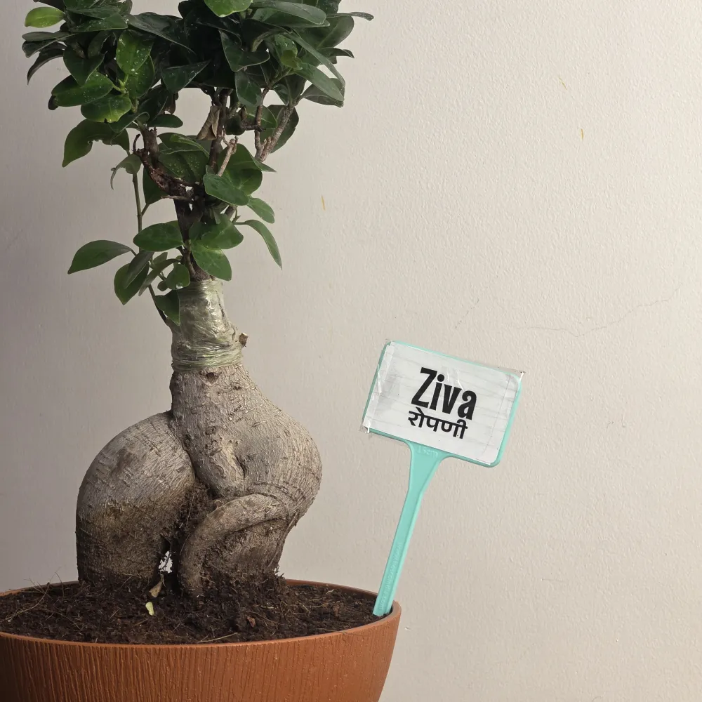 product-gallery
