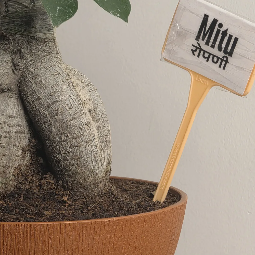 product-gallery