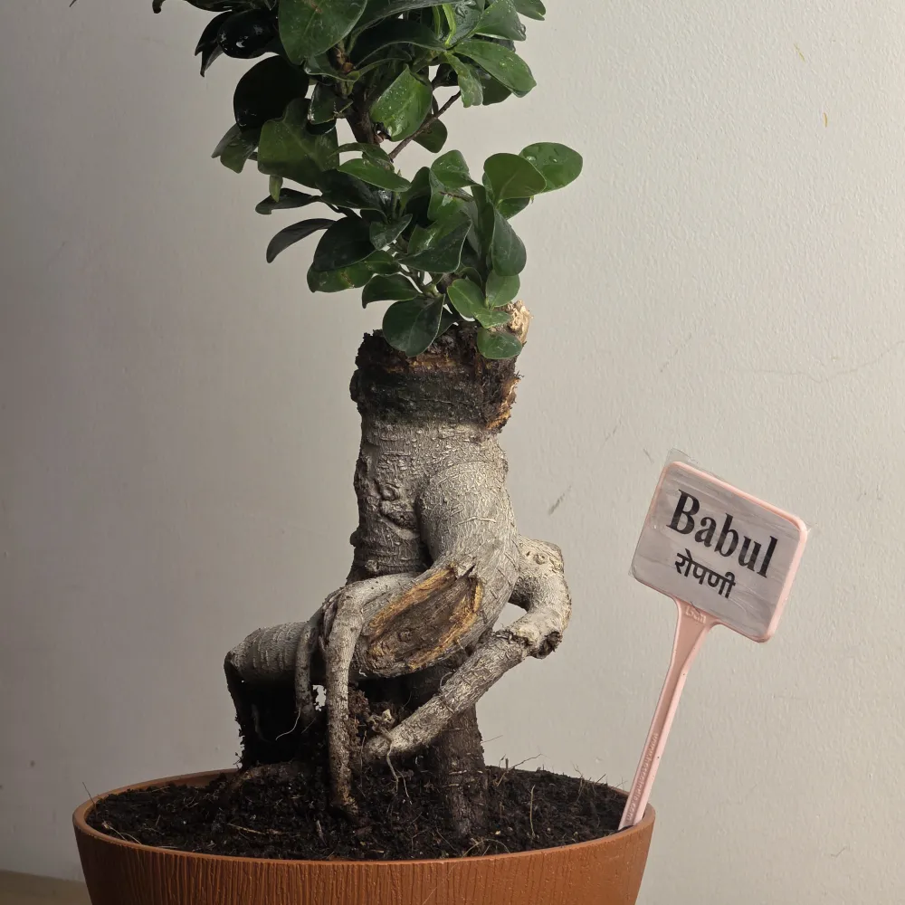 product-gallery