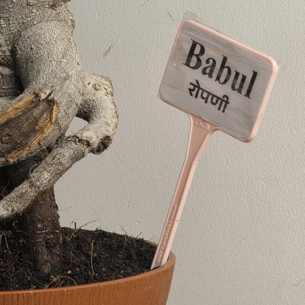 product-gallery