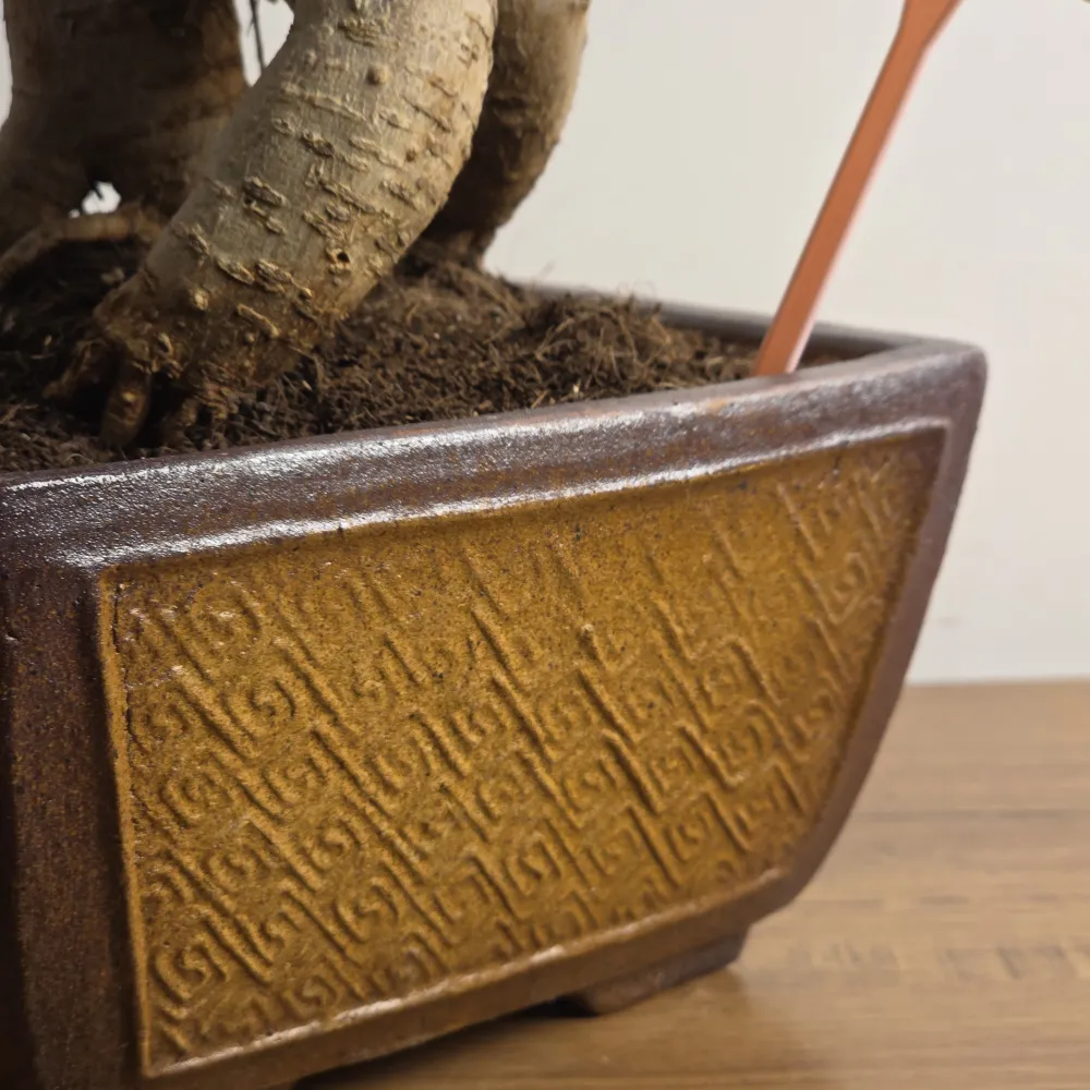 product-gallery