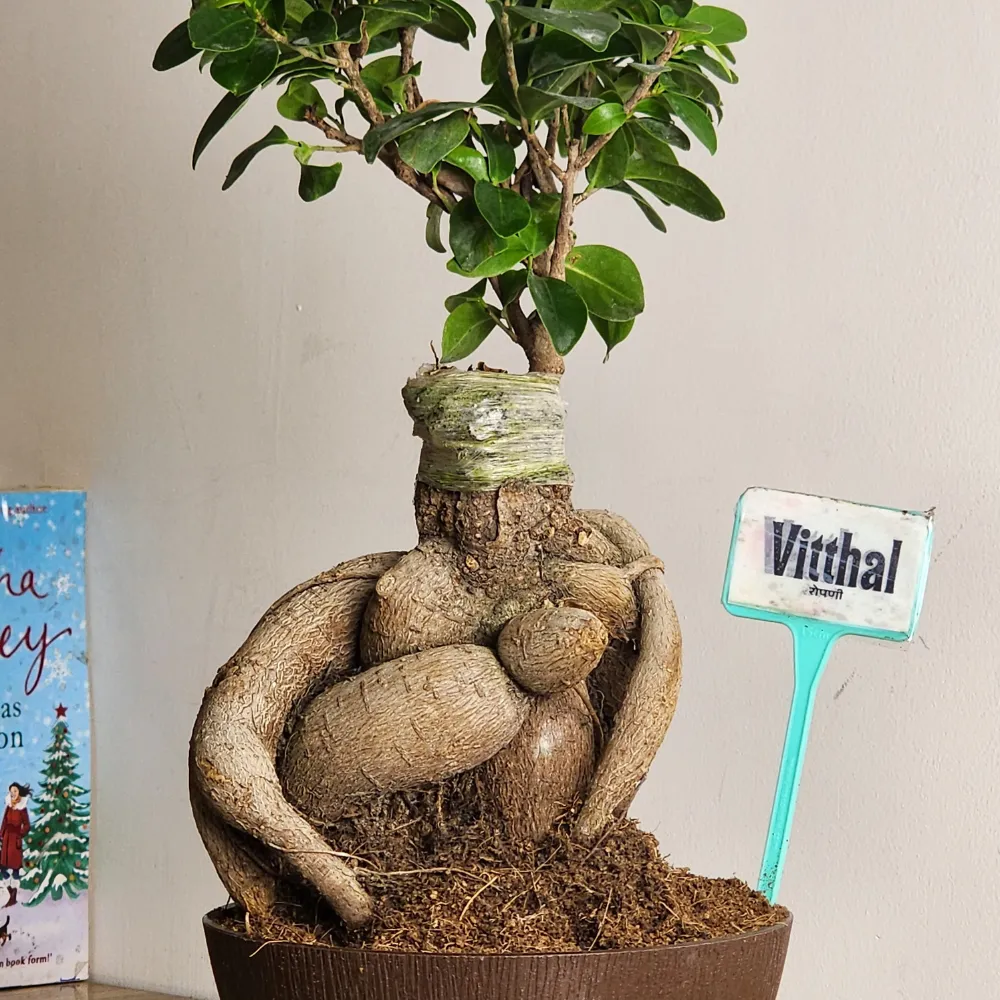 product-gallery