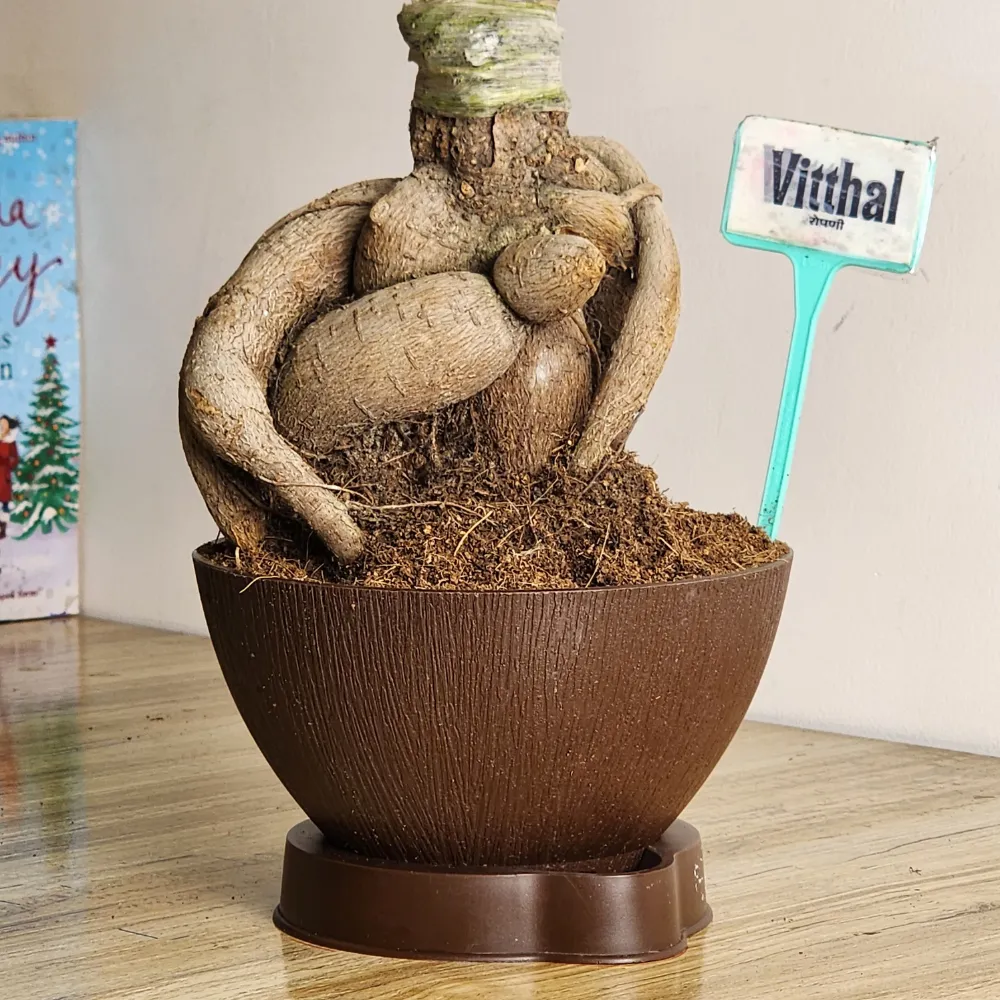 product-gallery