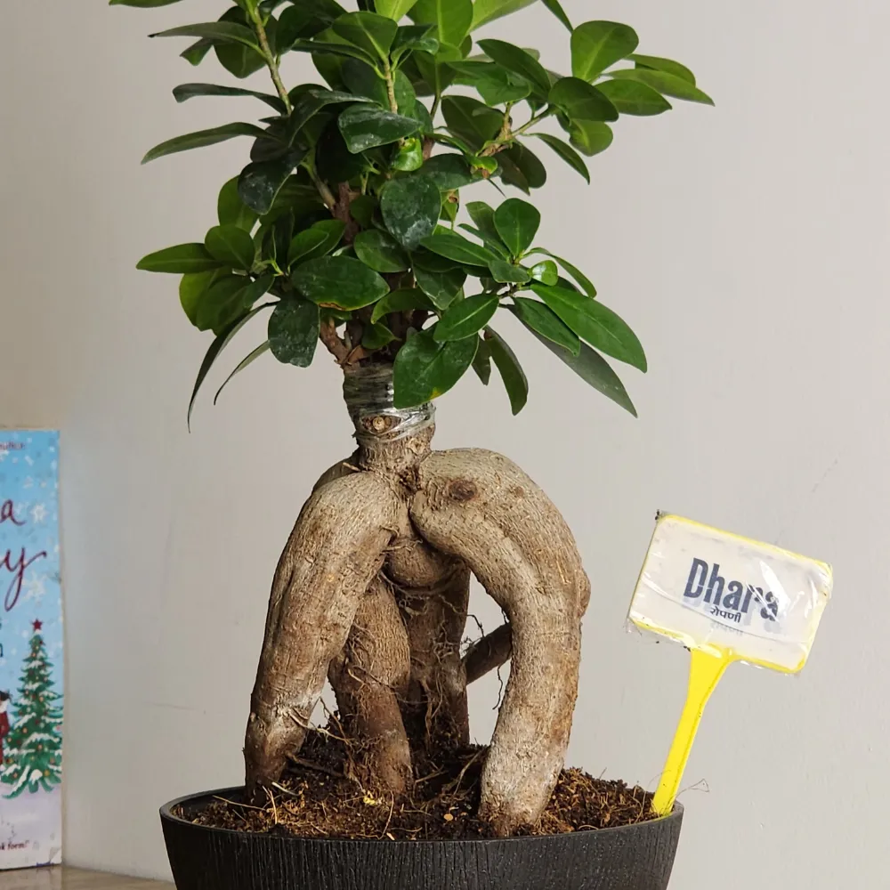 product-gallery