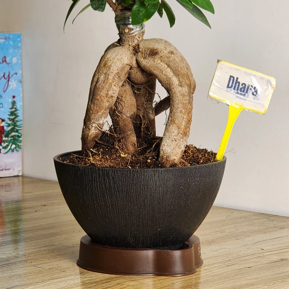 product-gallery
