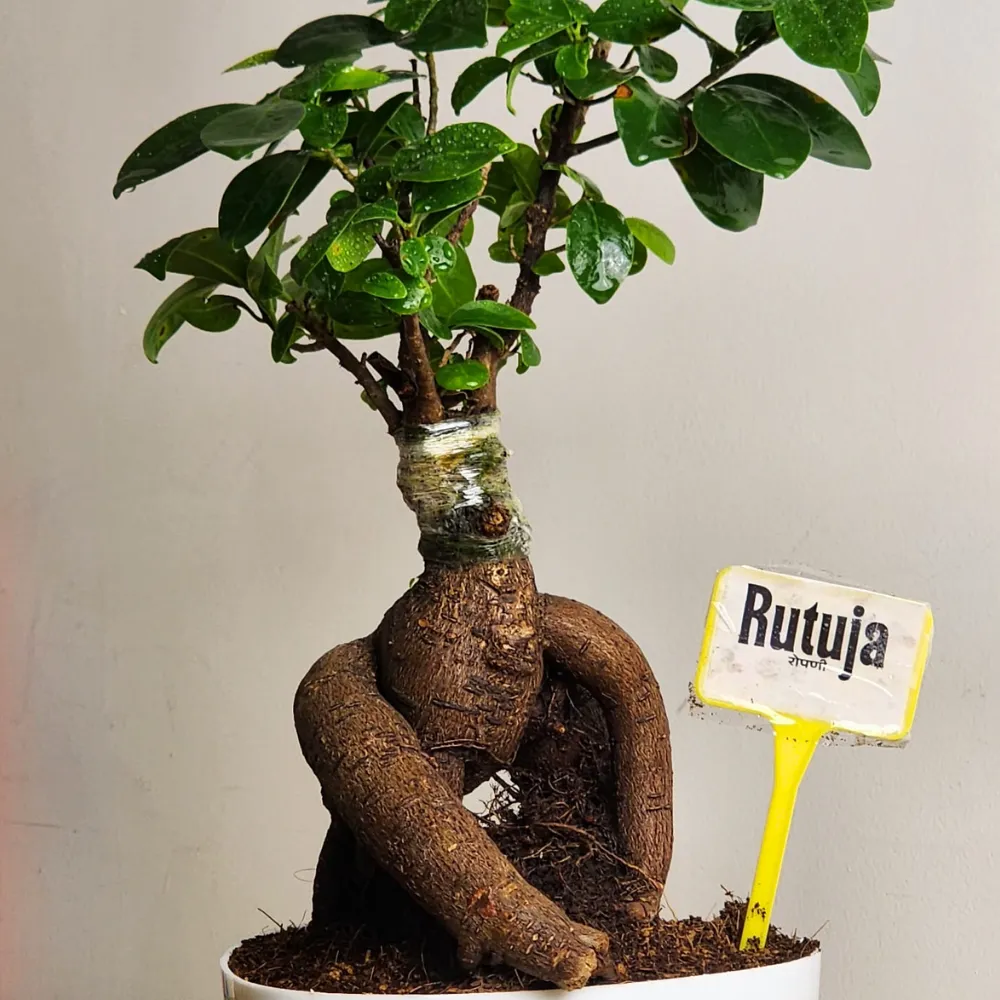 product-gallery
