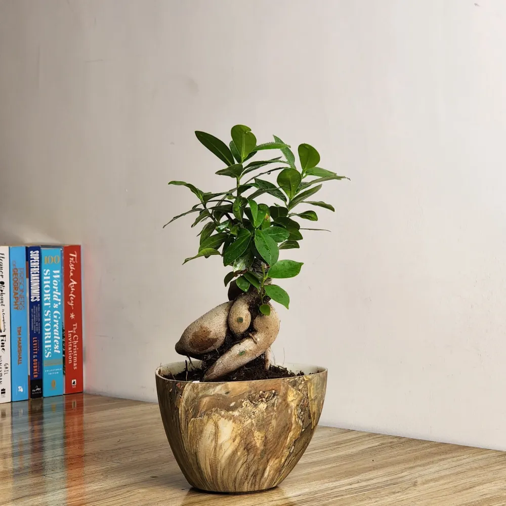 product-gallery