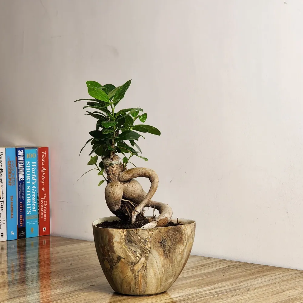 product-gallery