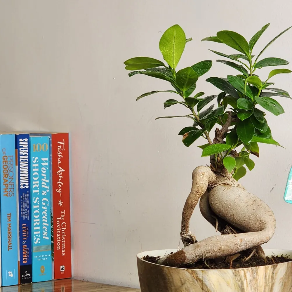 product-gallery
