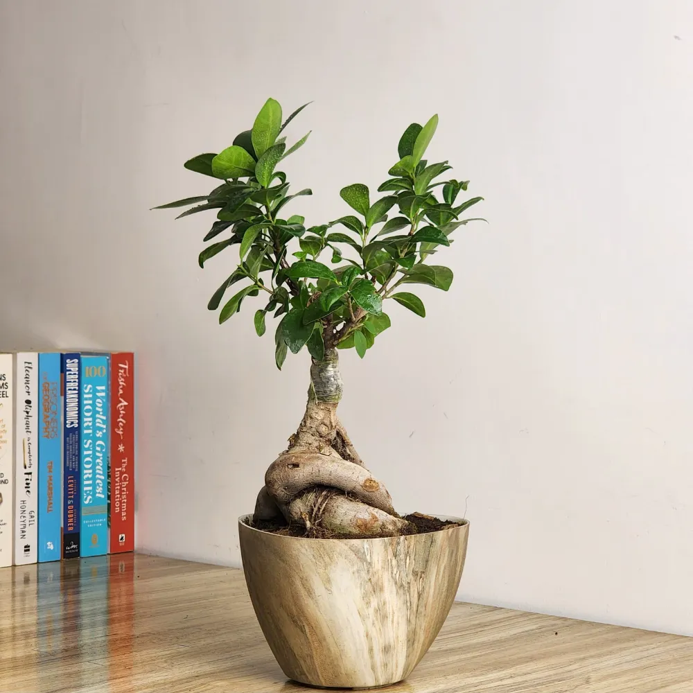 product-gallery