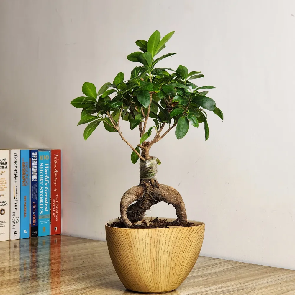 product-gallery