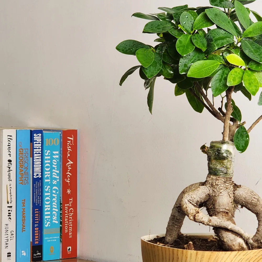 product-gallery