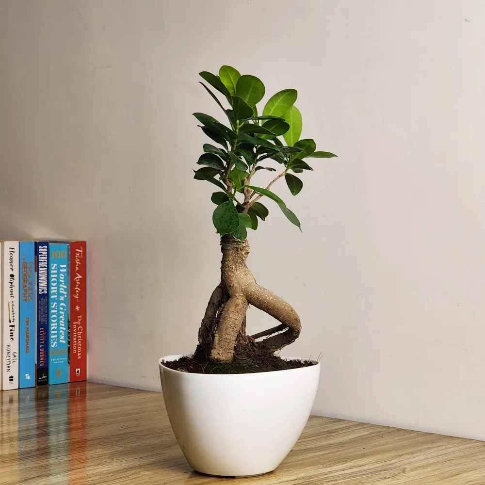 product-gallery