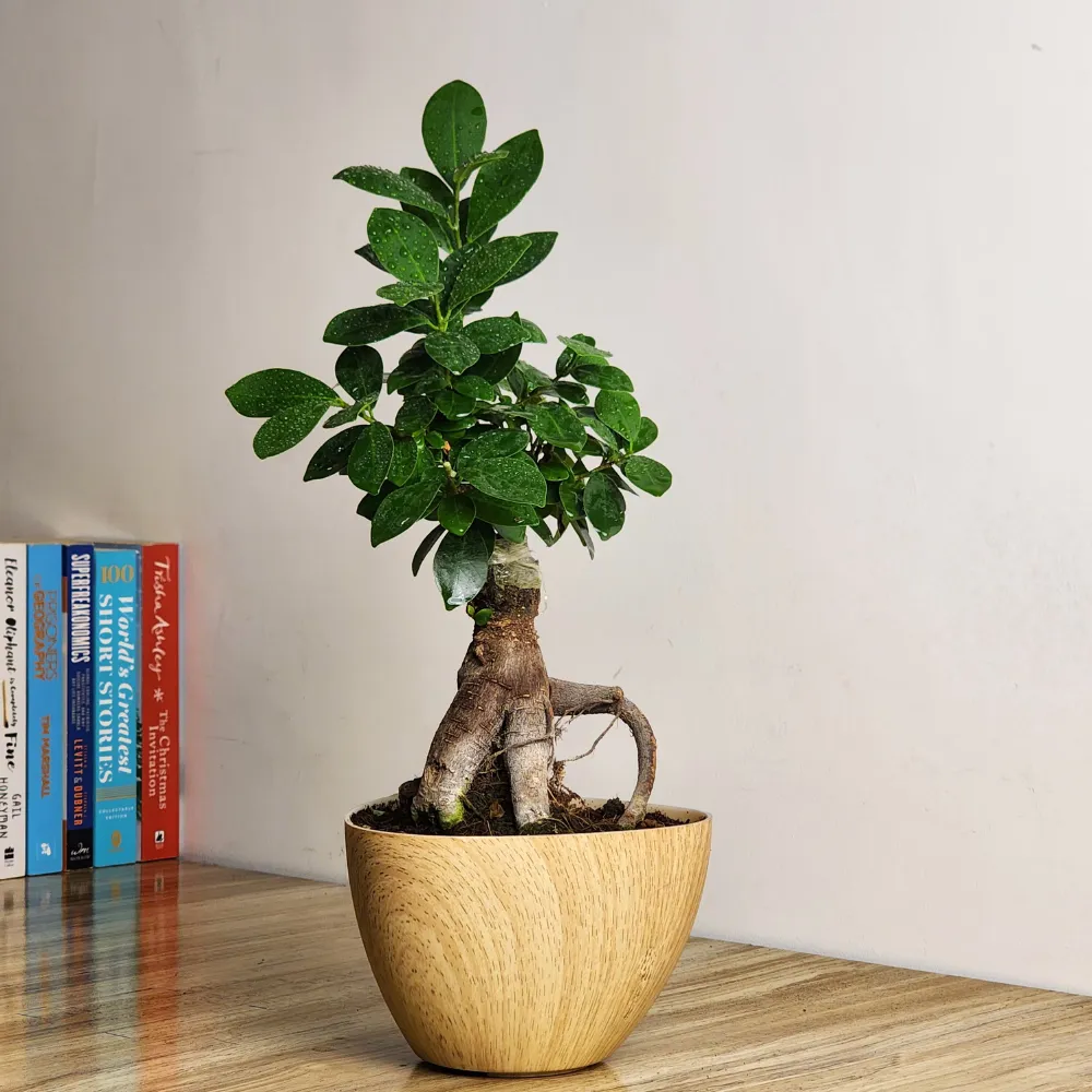 product-gallery