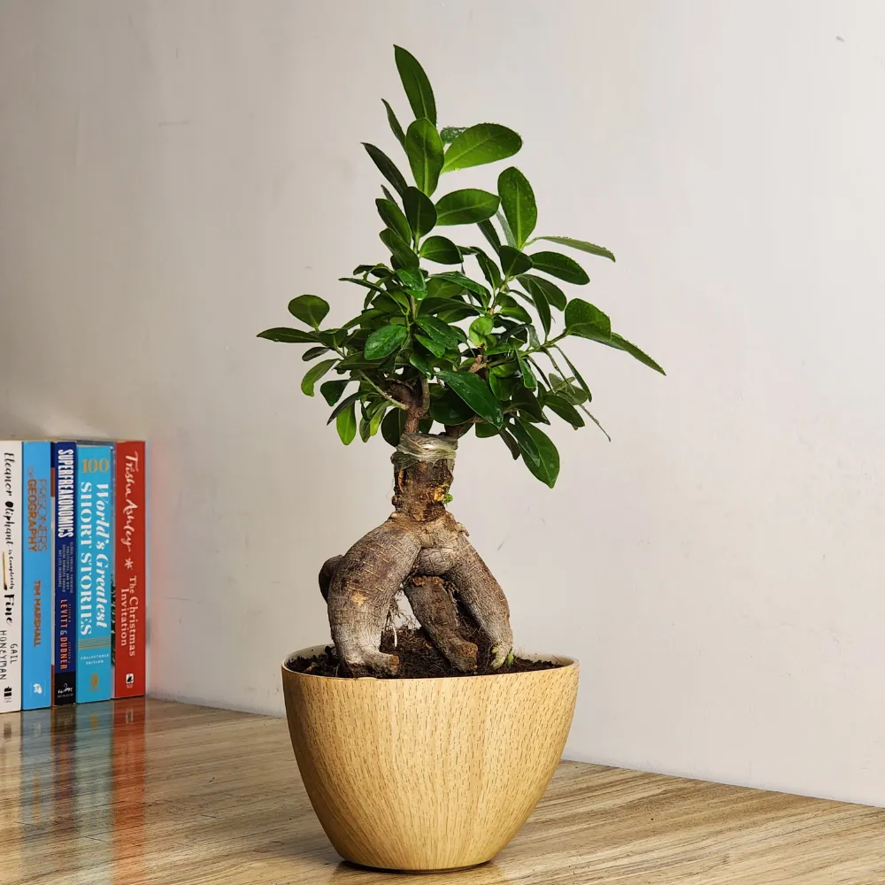 product-gallery